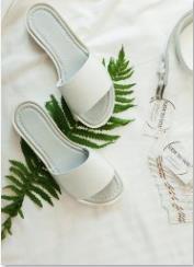 Une paire de mules