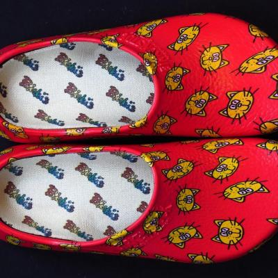 Une paire de chaussons